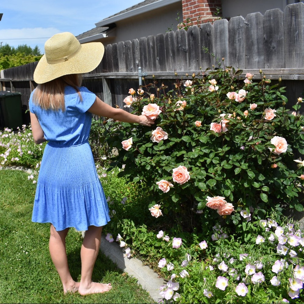 Meet your Posher, Desiree’